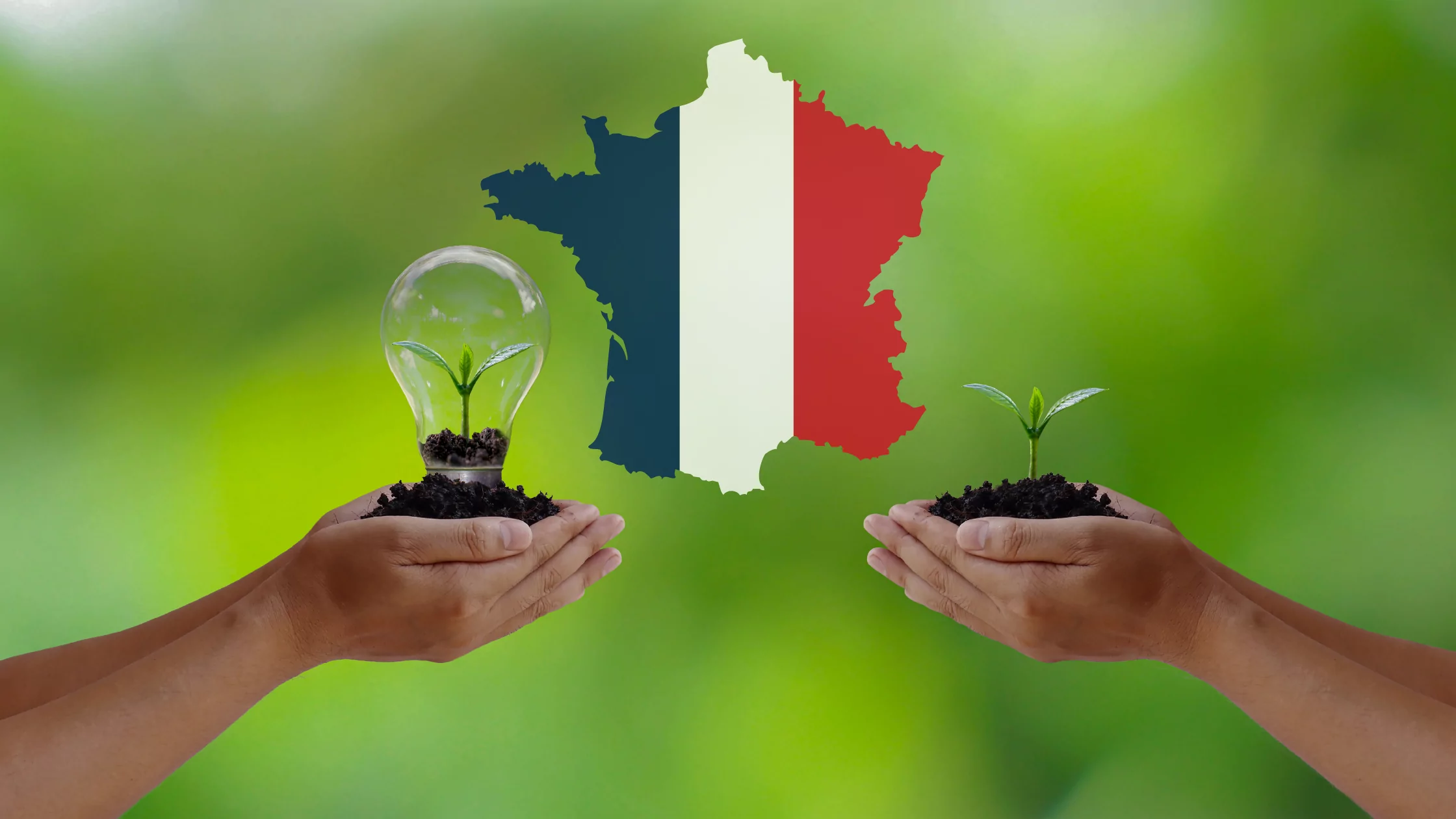 EKO ROZWIĄZANIA WE FRANCJI