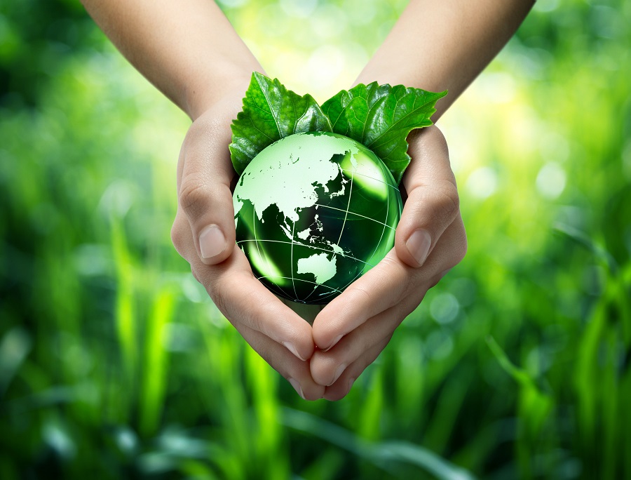 Les résolutions écologiques en France.