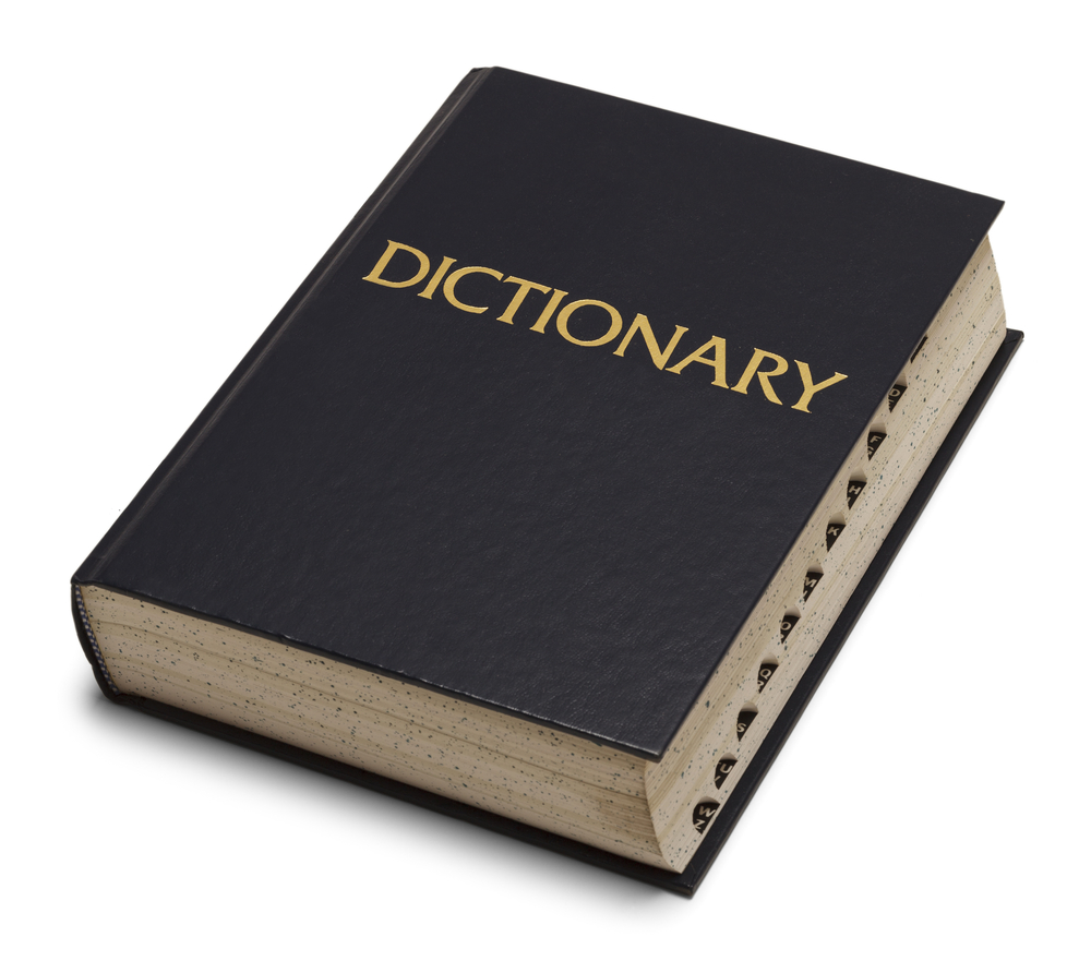Mini travel dictionary